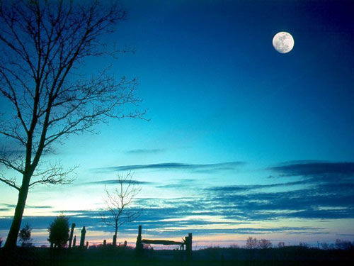 Moonglow